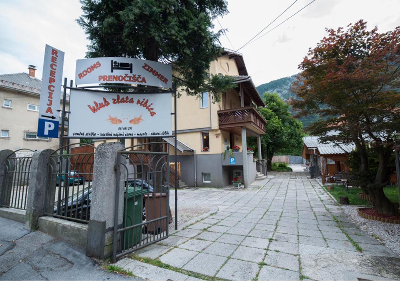 Hotel Klub Zlata Ribica Jesenice Exterior foto
